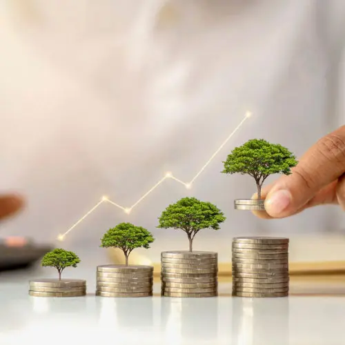 Growing stacks of coins with trees representing California 4-hour annuity training, retirement planning, investment growth, financial security, and wealth accumulation.
