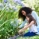 Life and Health Insurance Plans and Policies