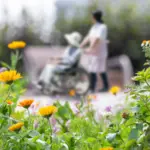 Long Term Care Training
